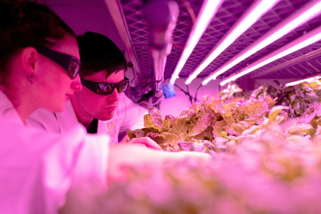 FoodHealth Accelerator 2026
